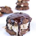 Vegan Ice Cream Sandwiches