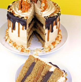 Peanut Butter Fudge Brittle Cake