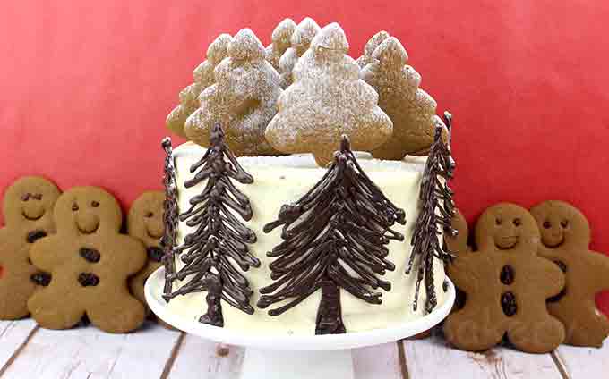 Winter Wonderland Vegan Gingerbread Cake