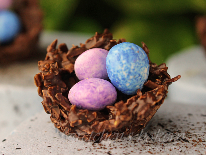 Chocolate Coconut Nest for Easter Cake