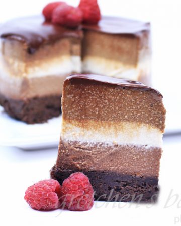 Triple Layer Cheesecake~ No Bake ~ Vegan