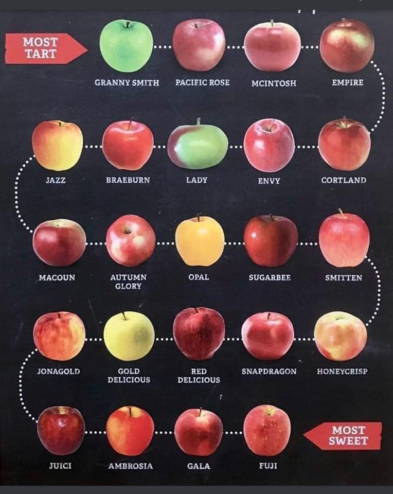 apple varieties