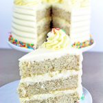 The Best Vegan Vanilla Cake Recipe