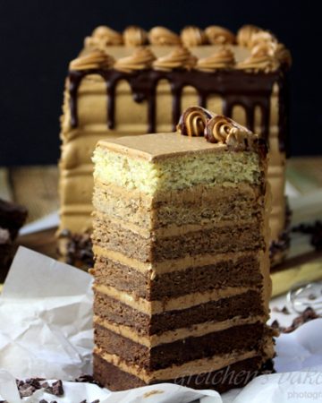 Mocha Cake Recipe - 7 Layer Ombre Cake