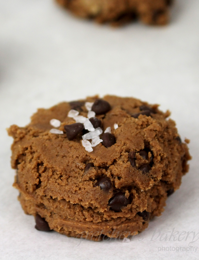 Double Chocolate Chip Cookies~ vegan