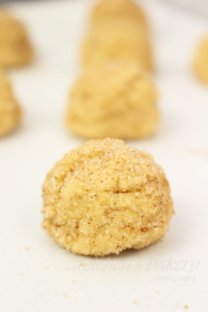 Vegan Snickerdoodle Cookies