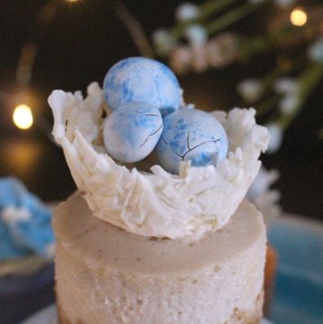 Miniature Cheesecakes ~ Spring Assortment