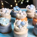 Miniature Cheesecakes ~ Spring Assortment