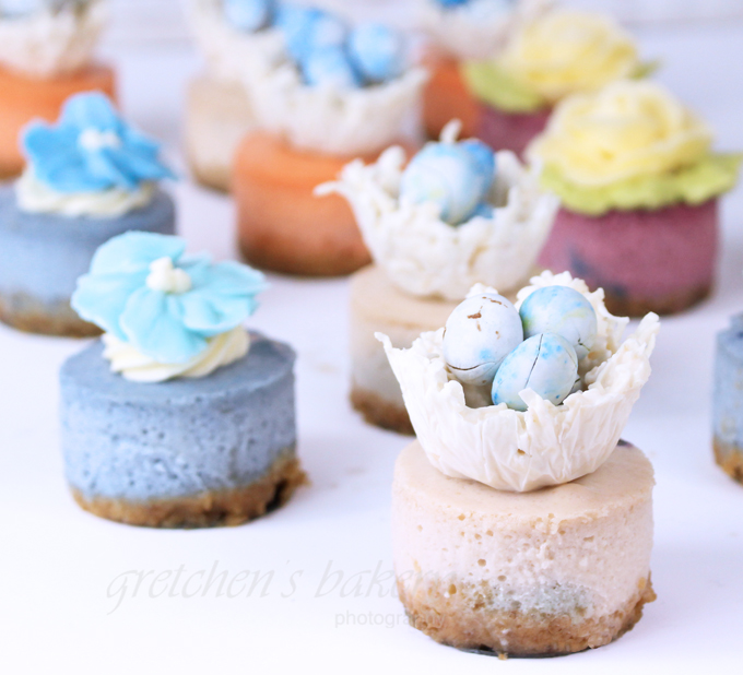 Miniature Vegan Cheesecakes ~ Spring Assortment