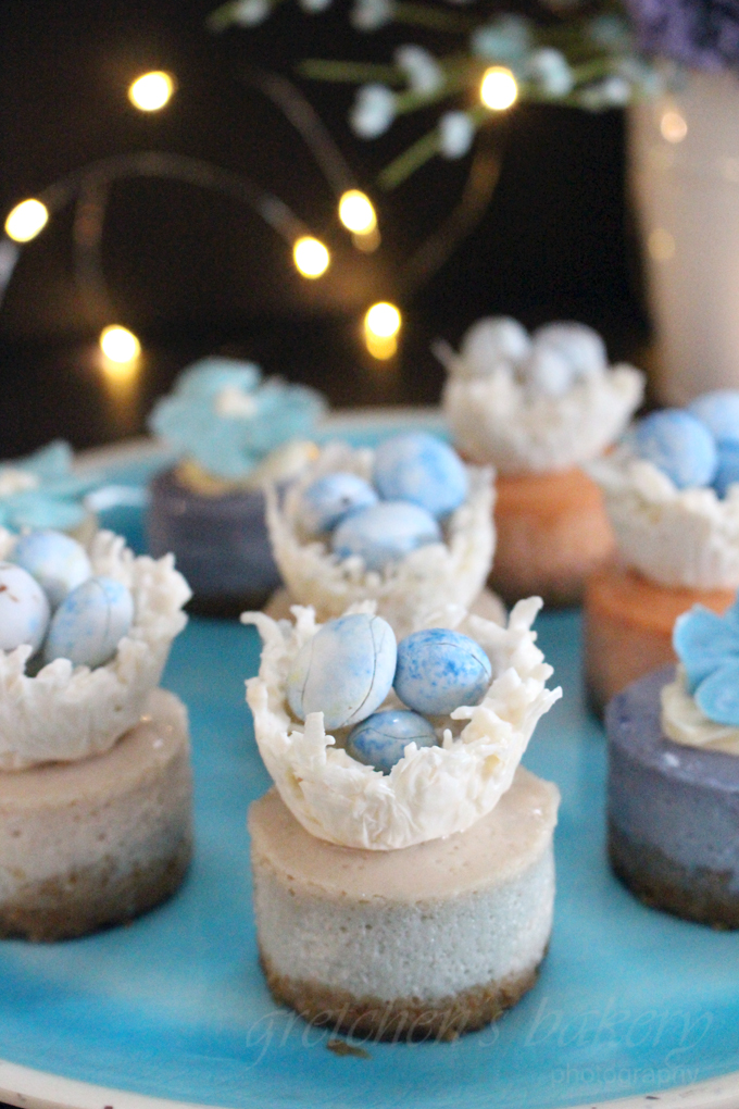 Miniature Cheesecakes ~ Spring Assortment