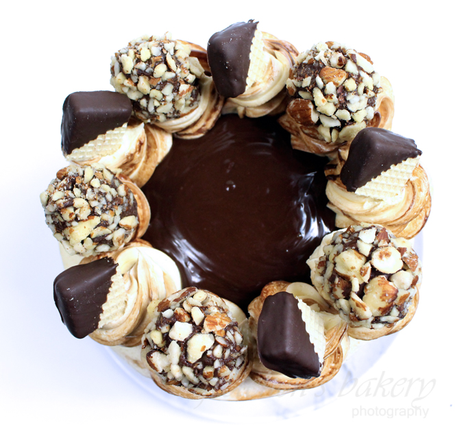Chocolate Mousse Cake ~ Almond Sponge Cake