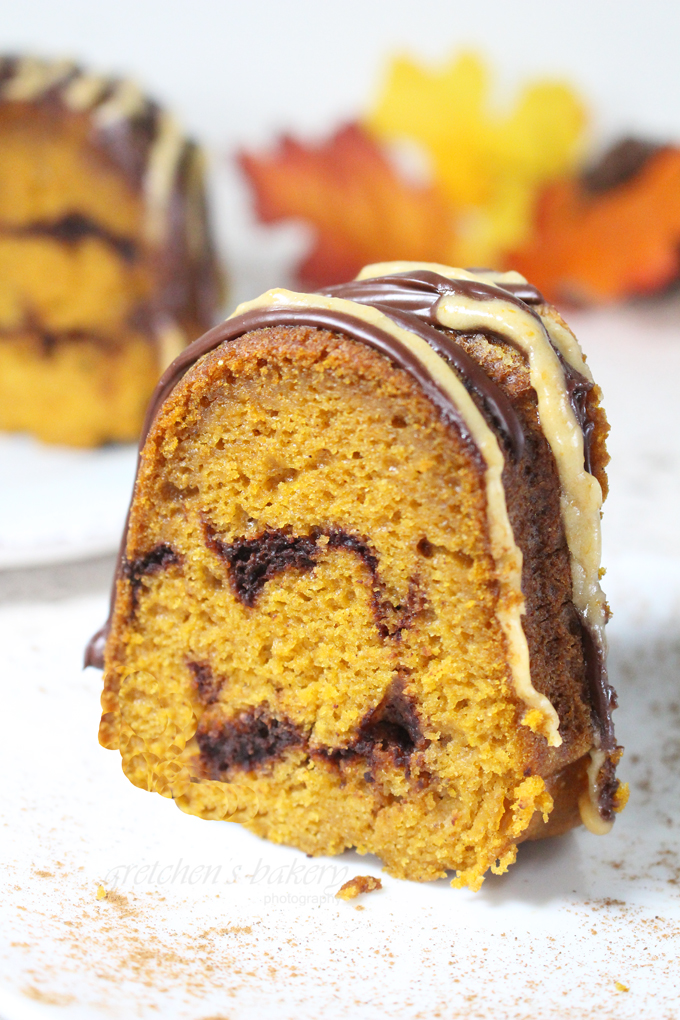 Chocolate Pumpkin Marble Cake