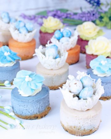Miniature Cheesecakes ~ Spring Assortment