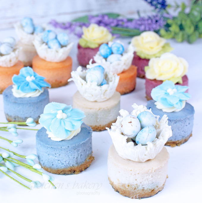 Miniature Cheesecakes ~ Spring Assortment