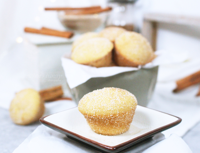 Snickerdoodle Cake Bombs