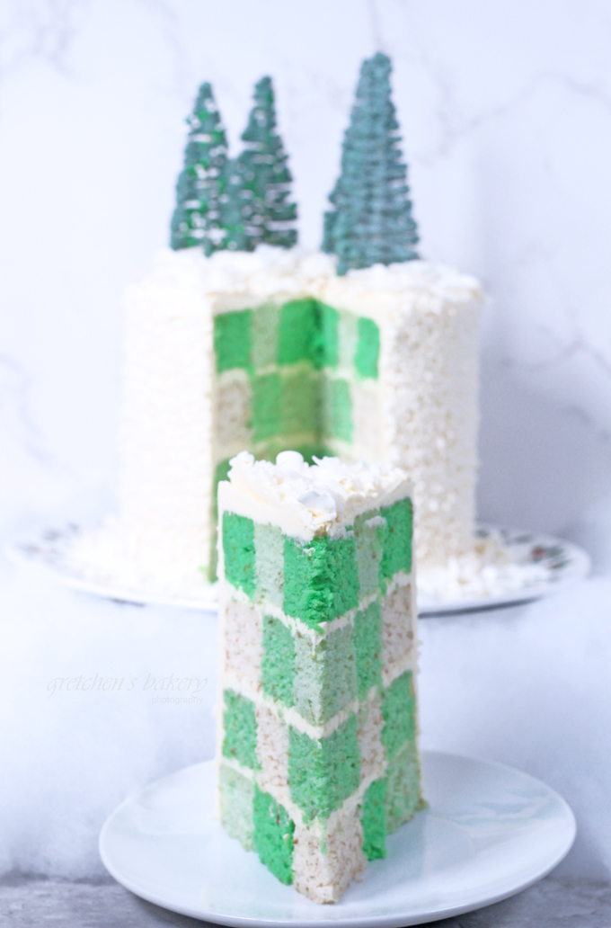 Winter Wonderland Checkerboard Cake