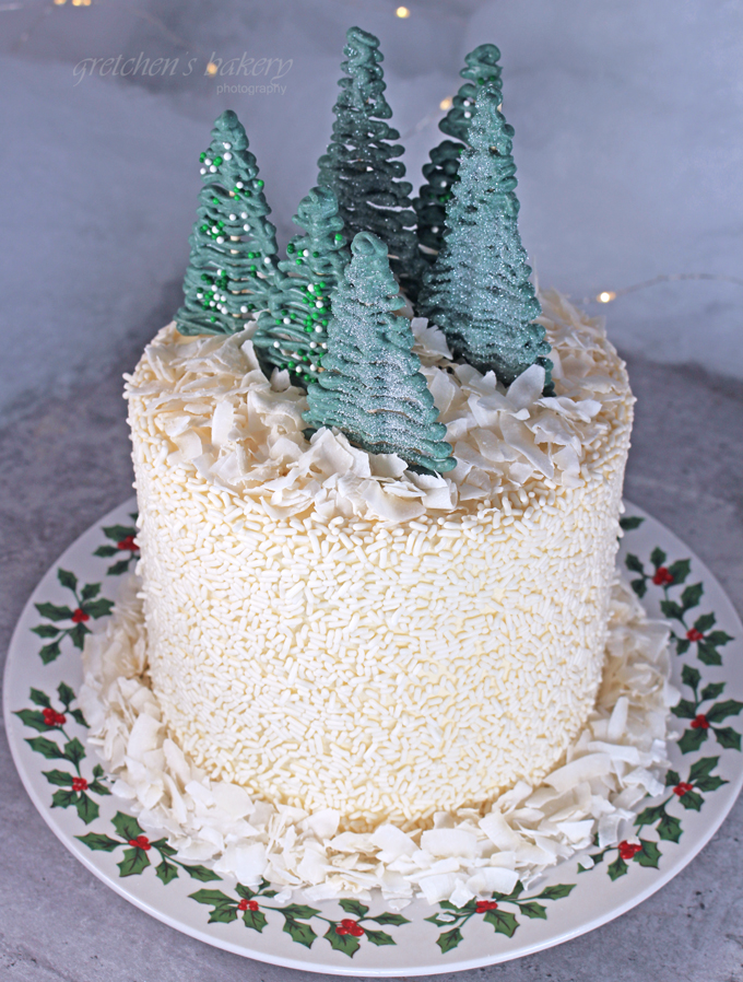 Winter Wonderland Checkerboard Cake