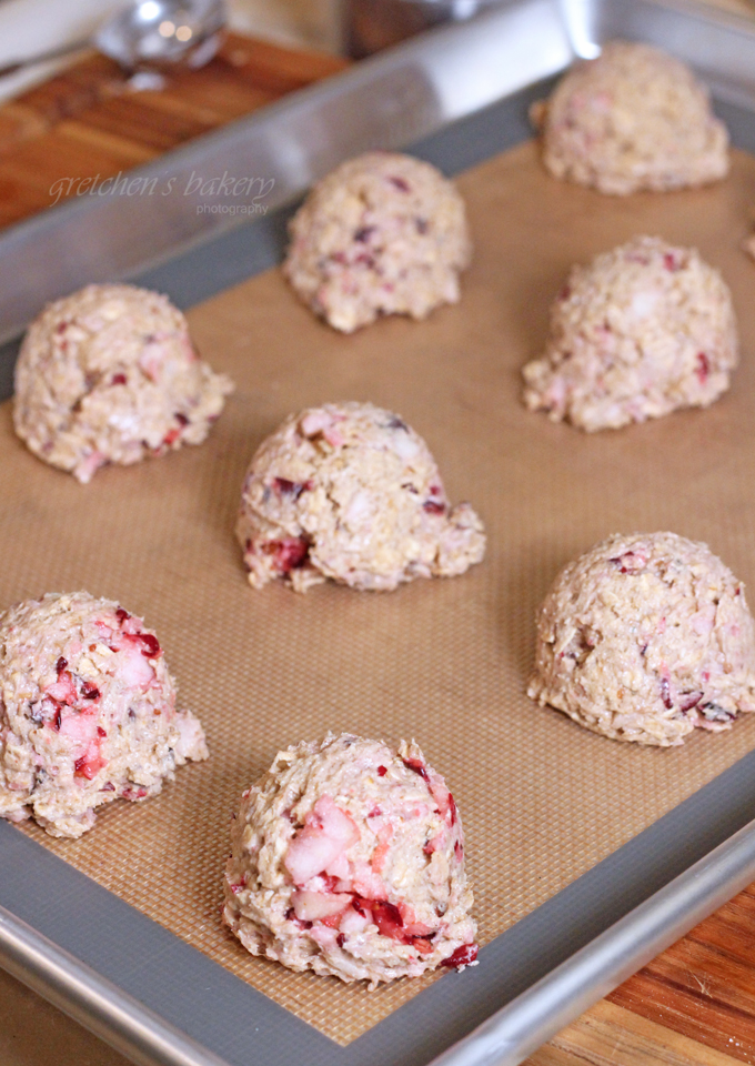 No Ordinary Oatmeal Cookie