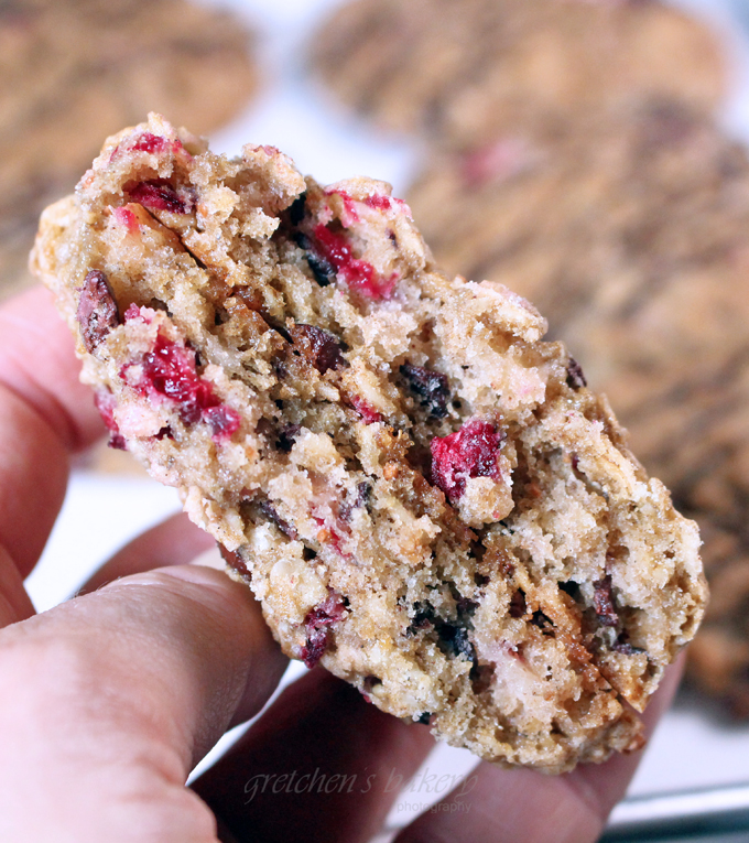 No Ordinary Oatmeal Cookie