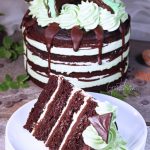 Andes Mint Cake