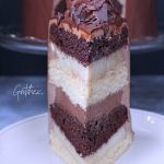 Boston Mousse Cake