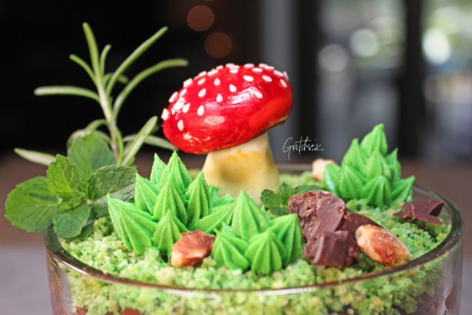 Edible Terrarium ~ Adult Dirt Cups