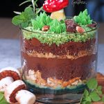 Edible Terrarium ~ Adult Dirt Cups