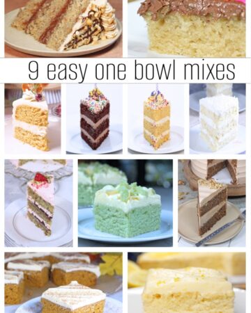 9 Easy One Bowl Cake Mixes ~ Vegan